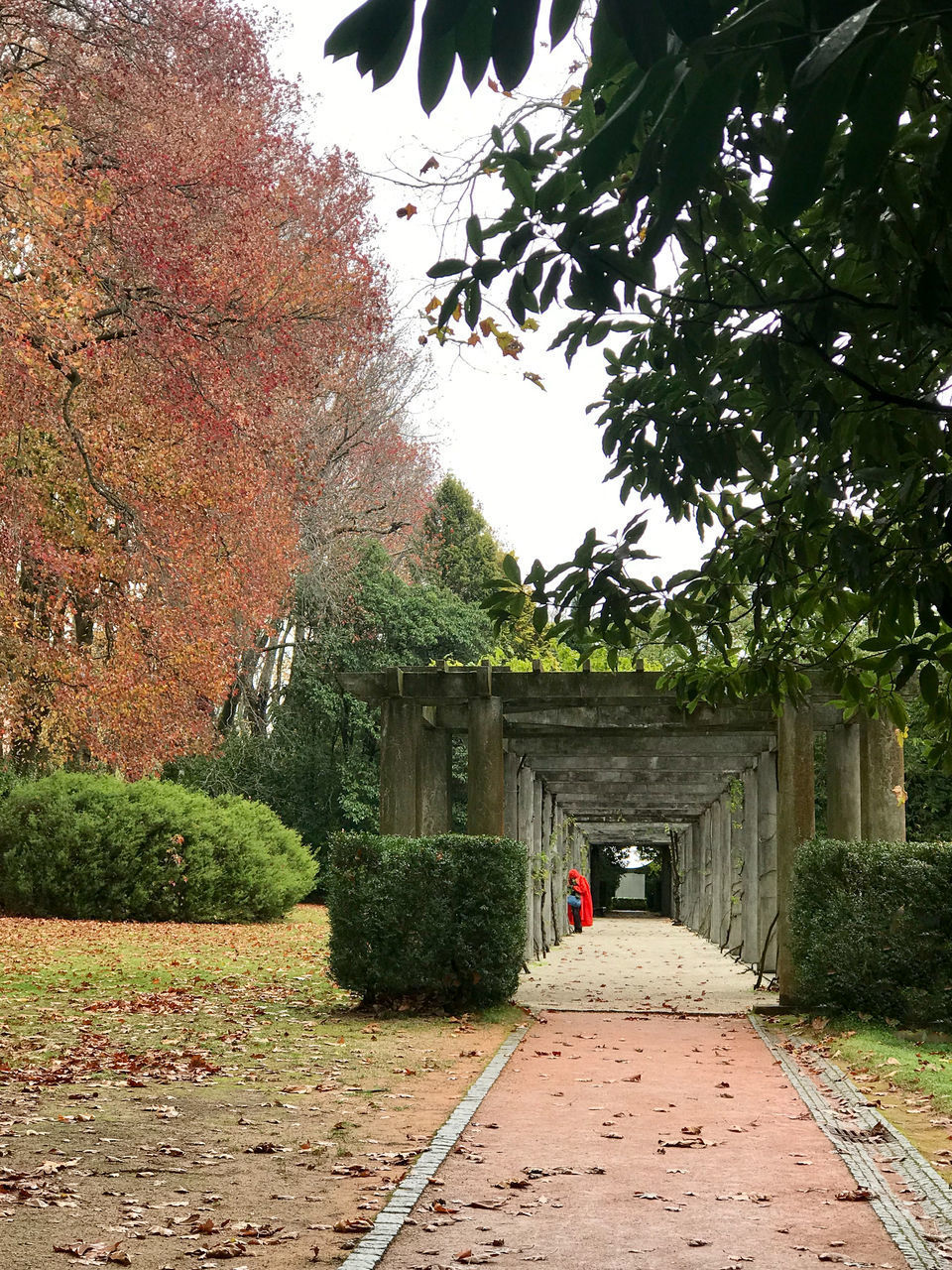 FOOTPATH AMIDST TREES DURING AUTUMN