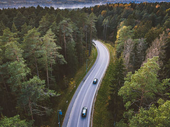 High angle view of road amidst trees in forest