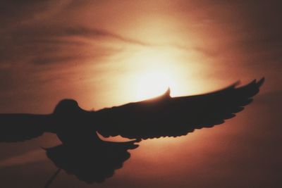 Close-up of silhouette plant against sky during sunset