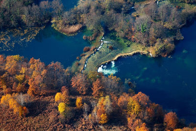 High angle view of trees during autumn