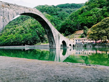 Arch bridge over river against trees