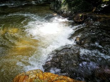 High angle view of waterfall in forest