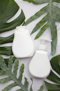 Close-up of food on table