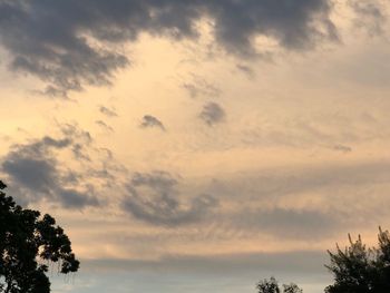 Low angle view of silhouette trees against sky during sunset