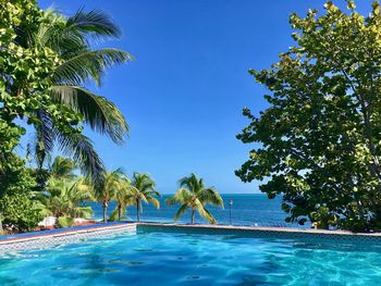 Swimming pool by sea against clear blue sky