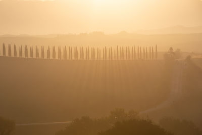 Silhouette trees on landscape against sky during sunset