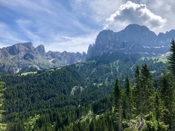 Scenic view of pine trees and mountains against sky