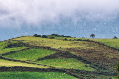 Scenic view of field against sky