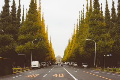 Street amidst trees against sky in city