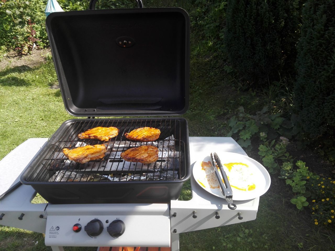 HIGH ANGLE VIEW OF FISH ON BARBECUE