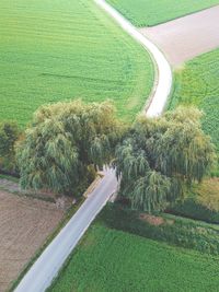 Scenic view of agricultural field