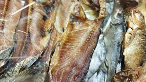 Close-up of fish for sale in market