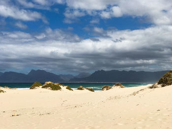 Scenic view of beach against cloudy sky