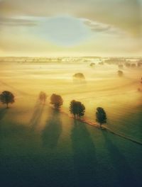 Misty morning and the farmlands