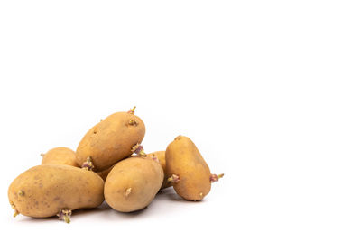 Close-up of fruits in plate against white background