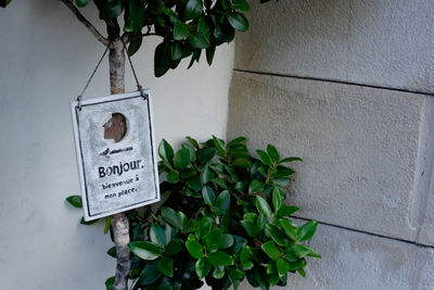 Low angle view of information sign