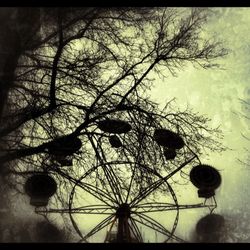Low angle view of bare trees against sky