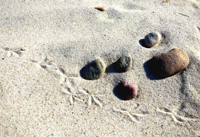 High angle view of footprints on sand