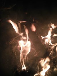 Close-up of bonfire at night