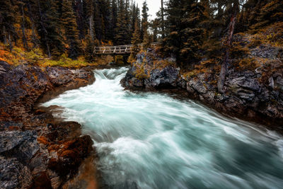 Stream flowing through rocks in forest