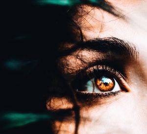 Close-up portrait of woman eye