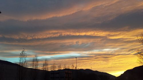 Low angle view of silhouette of trees against sky during sunset