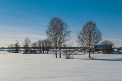 Bare trees on snow covered field against sky