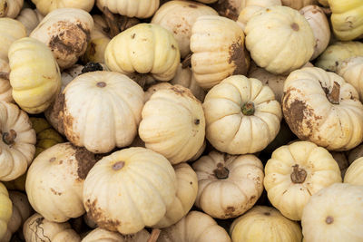 Full frame shot of pumpkins for sale at market stall