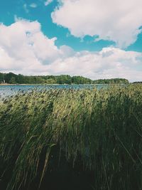 Scenic view of field against cloudy sky
