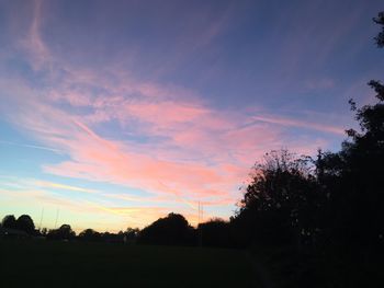 Silhouette trees on field against sky at sunset