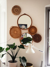 Directly above shot of potted plant on table at home