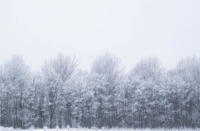 Full frame shot of trees against sky