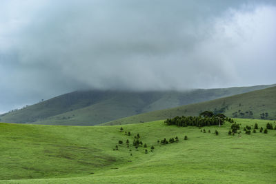 Scenic view of landscape against sky