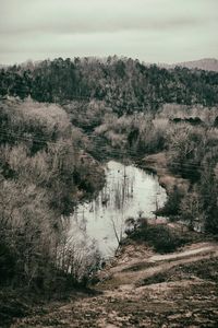 Scenic view of lake in forest against sky