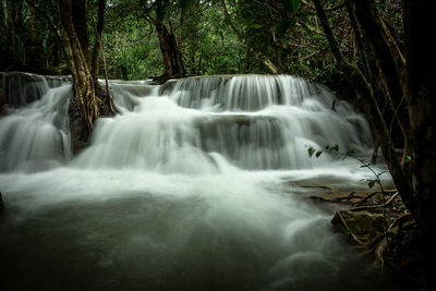 Scenic view of waterfall in forest