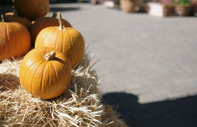 Close-up of pumpkins in autumn