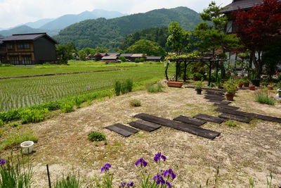 Scenic view of field by houses and mountains