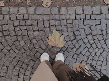 Topdown view of person standing on cobbled ground with a fallen maple leaf