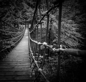 View of bridge in forest