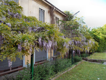 Built structure with trees in background