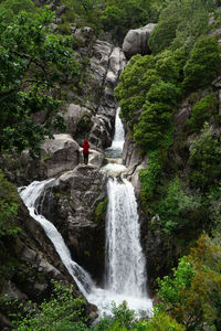 Rear view of mid adult woman standing on rock amidst waterfall in forest