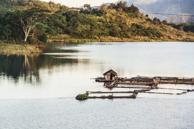 Scenic view of lake against trees