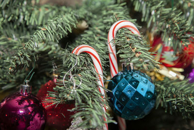Two candy canes on an artificial christmas tree near purple, red, blue, and clear decorations