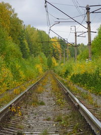 Railroad track amidst trees against sky