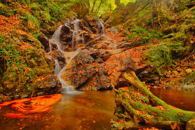 A stream in the aspromonte national park, which forms the scherni waterfall.