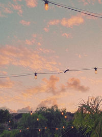 Low angle view of birds flying against orange sky