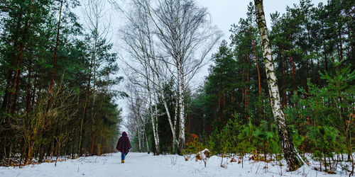 Woman on snow covered trees in forest