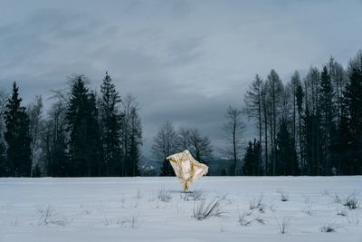 Person on snow covered landscape against sky