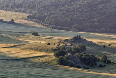 Scenic view of landscape