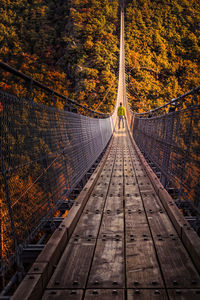 Mid distance view of man standing on footbridge in forest